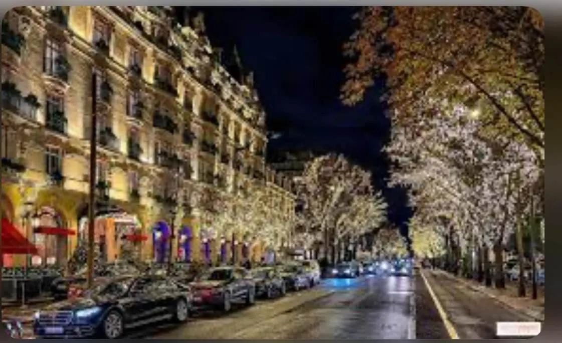 Avenue Montaigne Apartment Paris